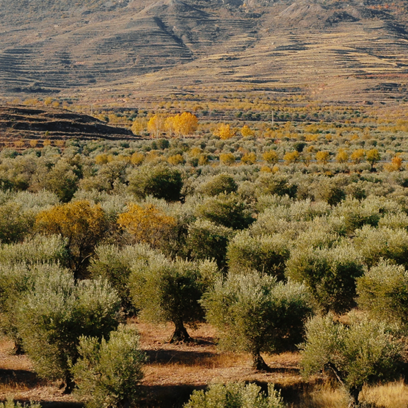 El Vilar Ecològic